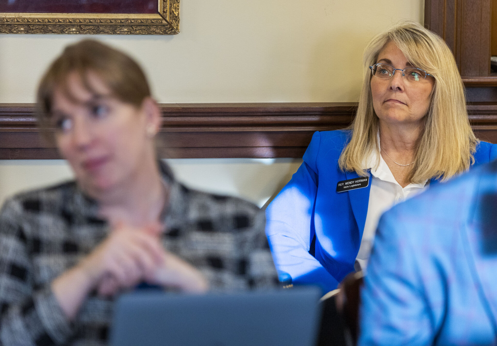 Idaho Legislature introduces two private school bills Idaho state Rep. Wendy Horman, R-Idaho Falls,