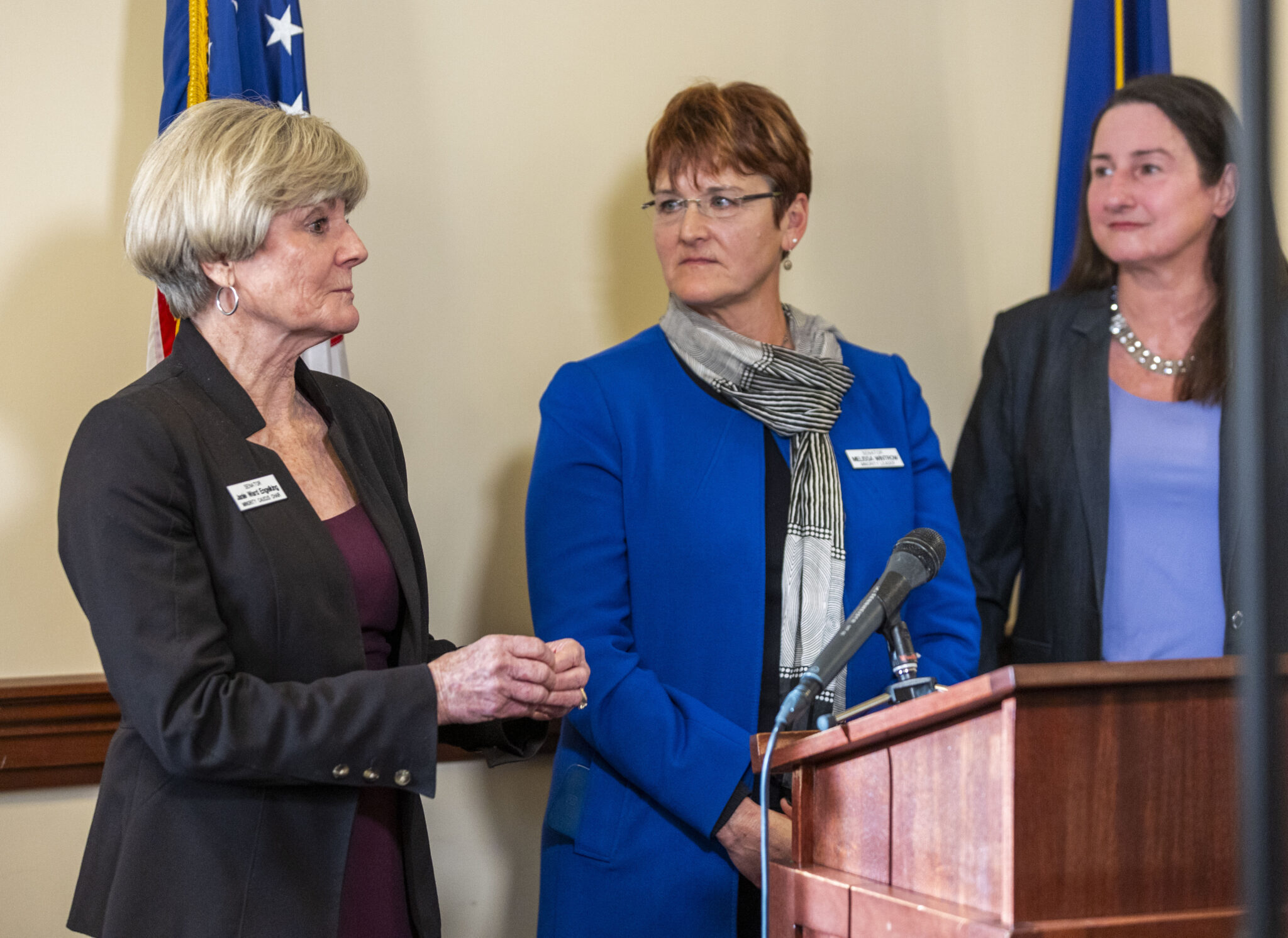 Idaho Legislature introduces two private school bills Idaho Senate Minority Caucus Chairwoman Janie Ward-Engelking, D-Boise, (left) takes questions at a press conference after the State of the State address