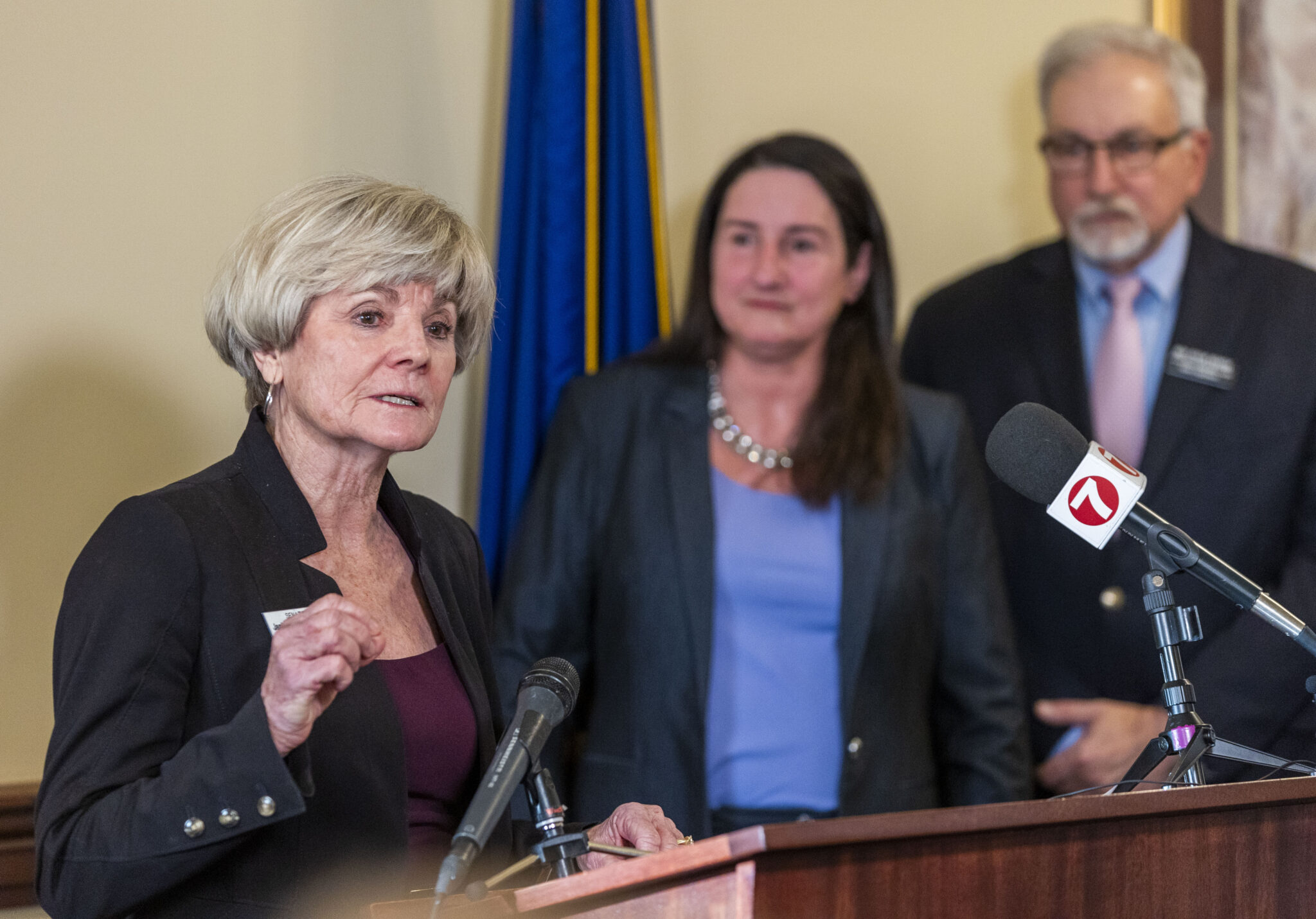 Idaho legislative committee recommends $1.55 per hour raises for all state employees Idaho Senate Minority Caucus Chairwoman Janie Ward-Engelking, D-Boise, (left) takes questions at a press conference