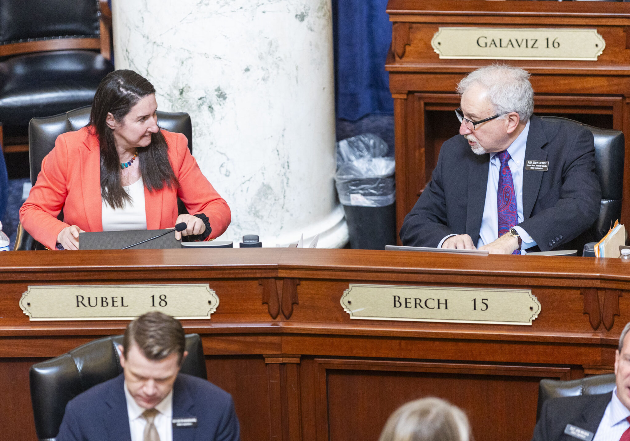 Idaho legislators celebrate death of proposal to sell off public lands Idaho House Minority Leader Ilana Rubel, D-Boise, speaks with Assistant Minority Leader Steve Berch, D-Boise, on the House floor