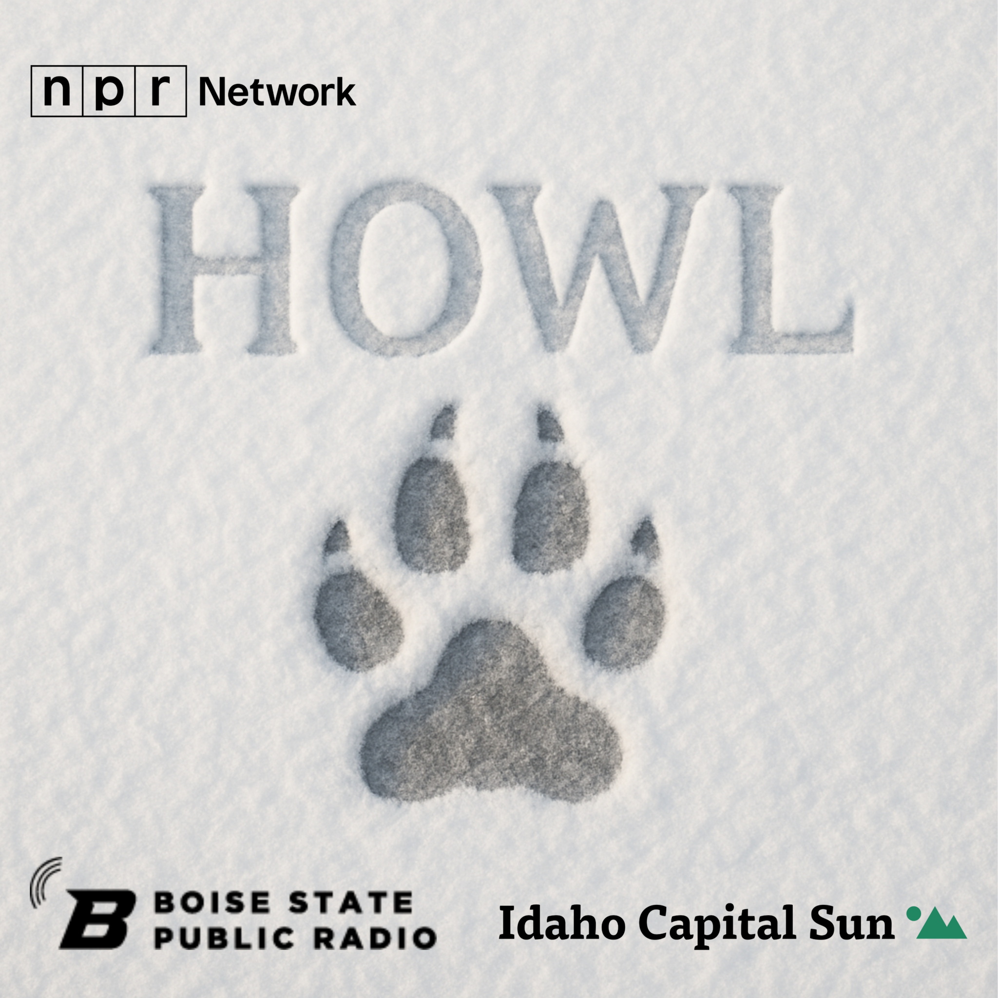 River of No Return: How the Nez Perce Tribe stepped in to save wolf reintroduction in Idaho Fixing Yellowstone: How an intact ecosystem set the stage for a wolf queen’s long reign