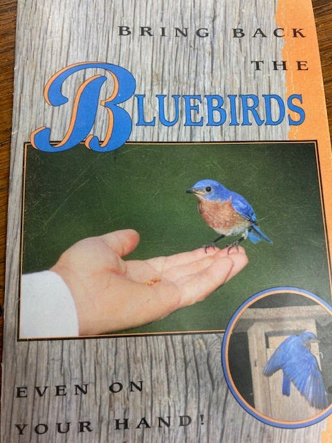 Bringing back the bluebirds Bringing back the bluebirds