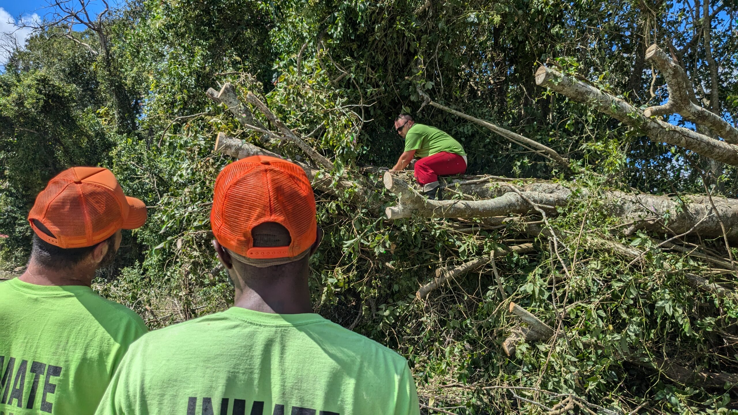 In Louisiana, incarcerated people help with hurricane recovery after Francine Hurricane Francine