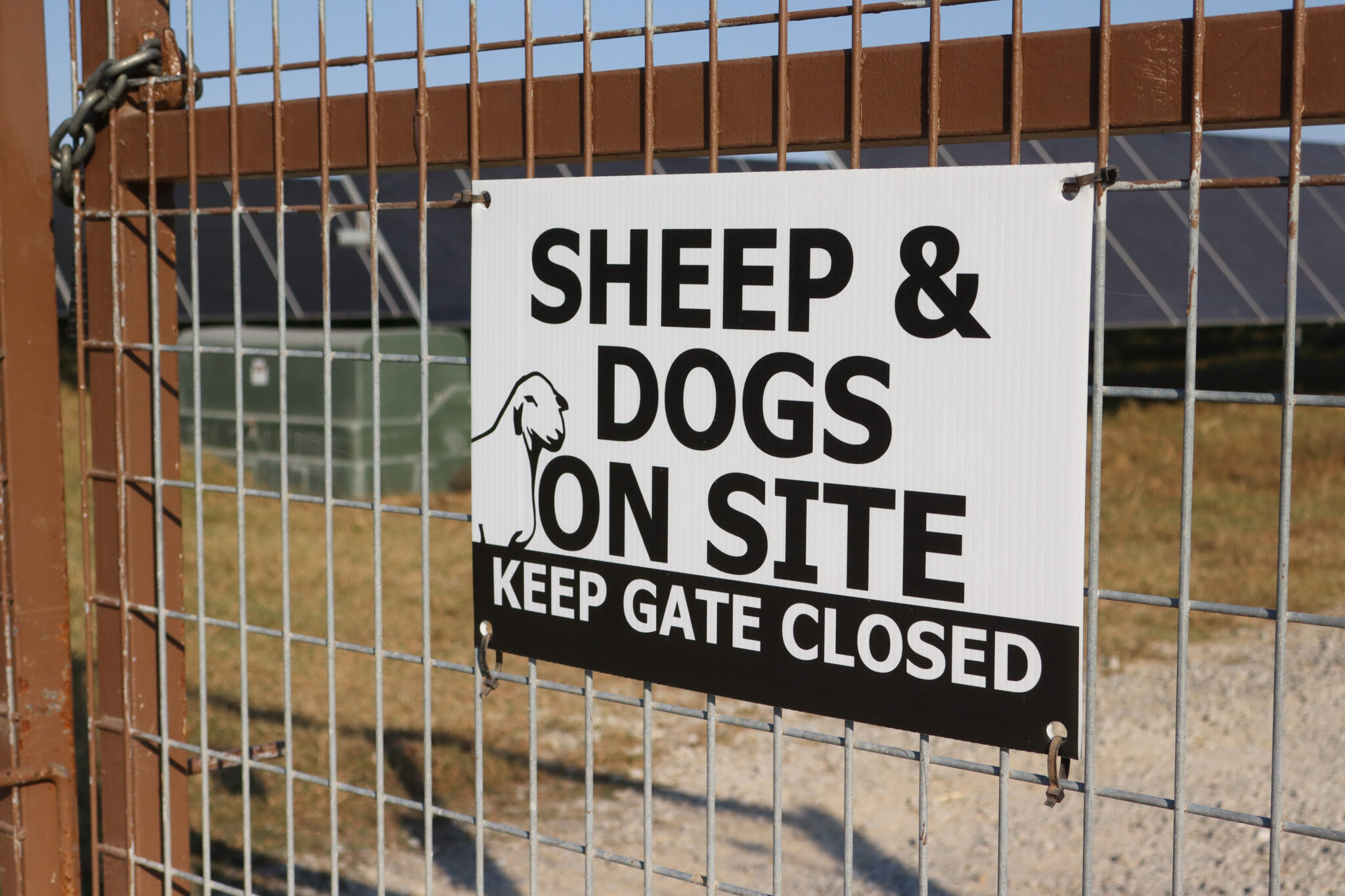 As solar energy expands in the Delta, agrivoltaic projects hope to shine A fence surrounds a solar panel array near Searcy, Ark., where sheep graze.