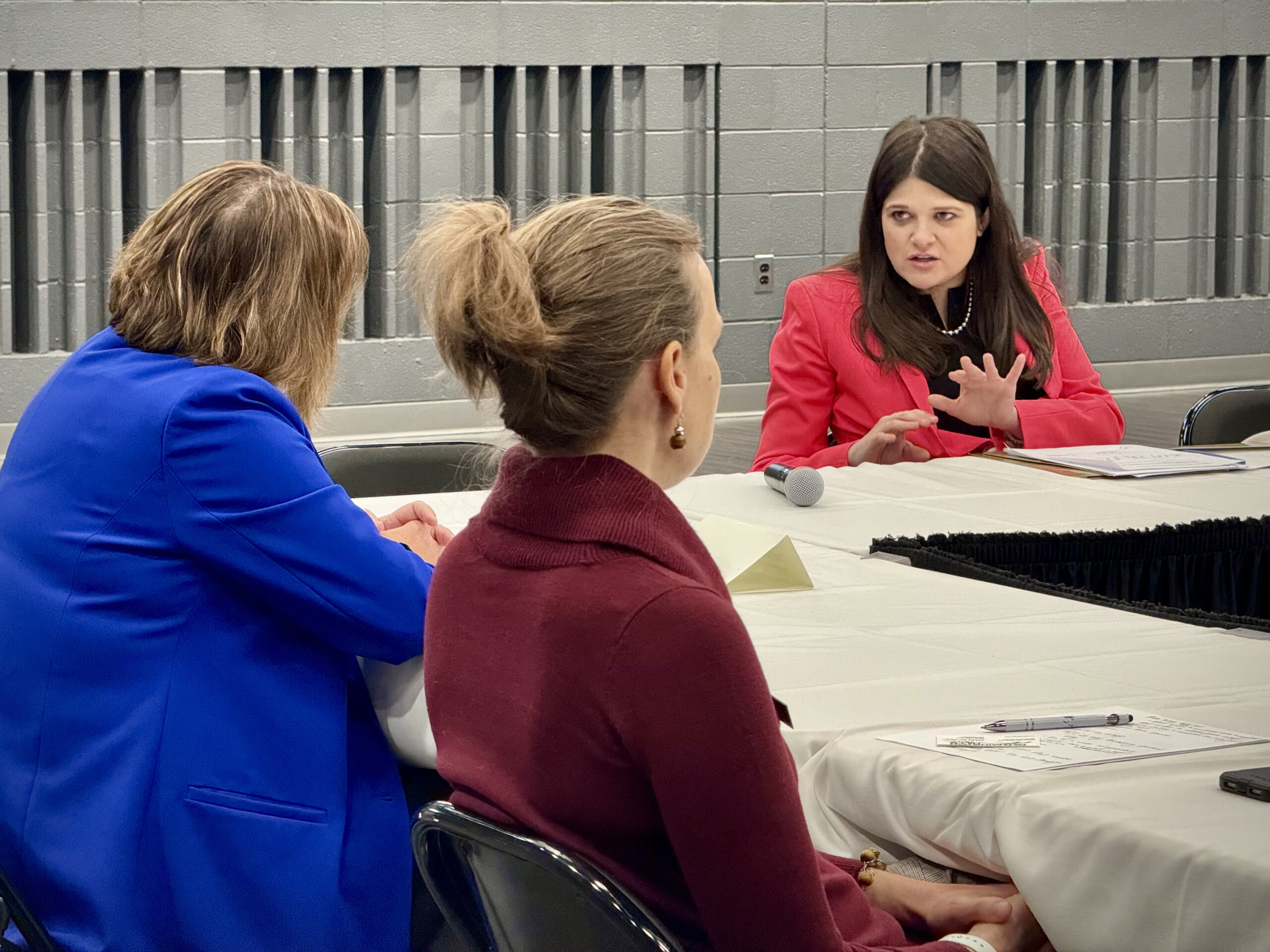 Haley Stevens announces run for US Senate, becoming the 3rd Democrat seeking to replace Gary Peters Haley Stevens announces run for US Senate, becoming the 3rd Democrat seeking to replace Gary Peters
