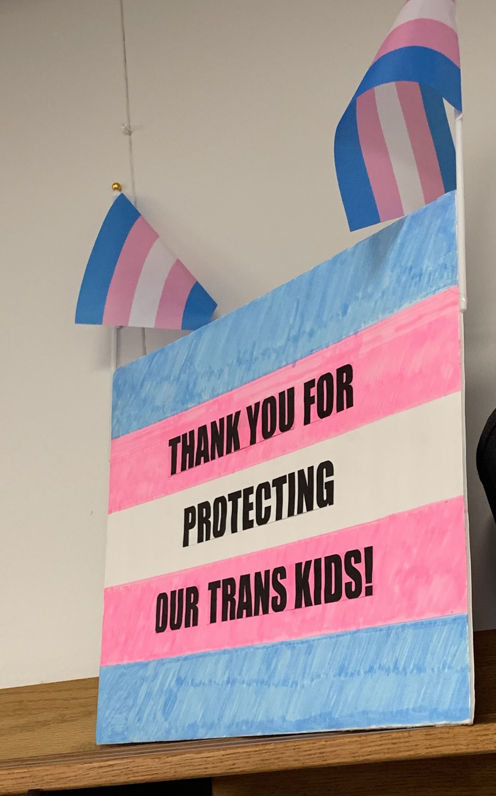 PlymouthCanton community defends school district diversity policies