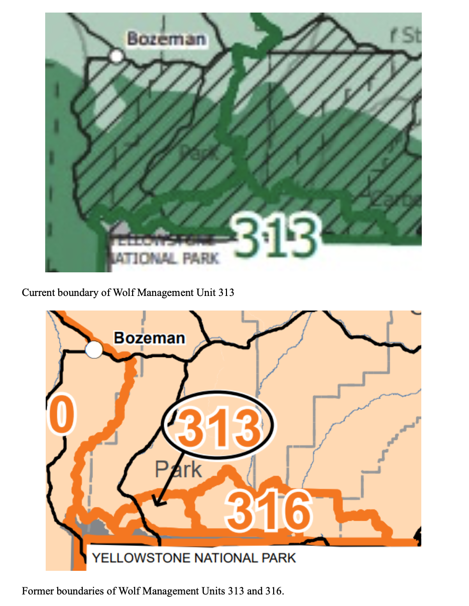 Fifth wolf killed in unit north of Yellowstone National Park despite quota A map showing the current WMU 313 (top) and the former WMUS 313 and 316, which will again be in effect for the 2024-25 season. (Image courtesy Fish and Wildlife Commission)