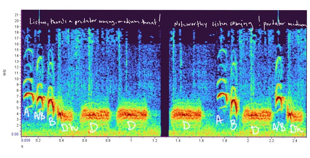 Mountain chickadee chatter: Scientists are decoding the songbird’s complex calls two spectrograms of the audio of a bird call, labeled with the meaning