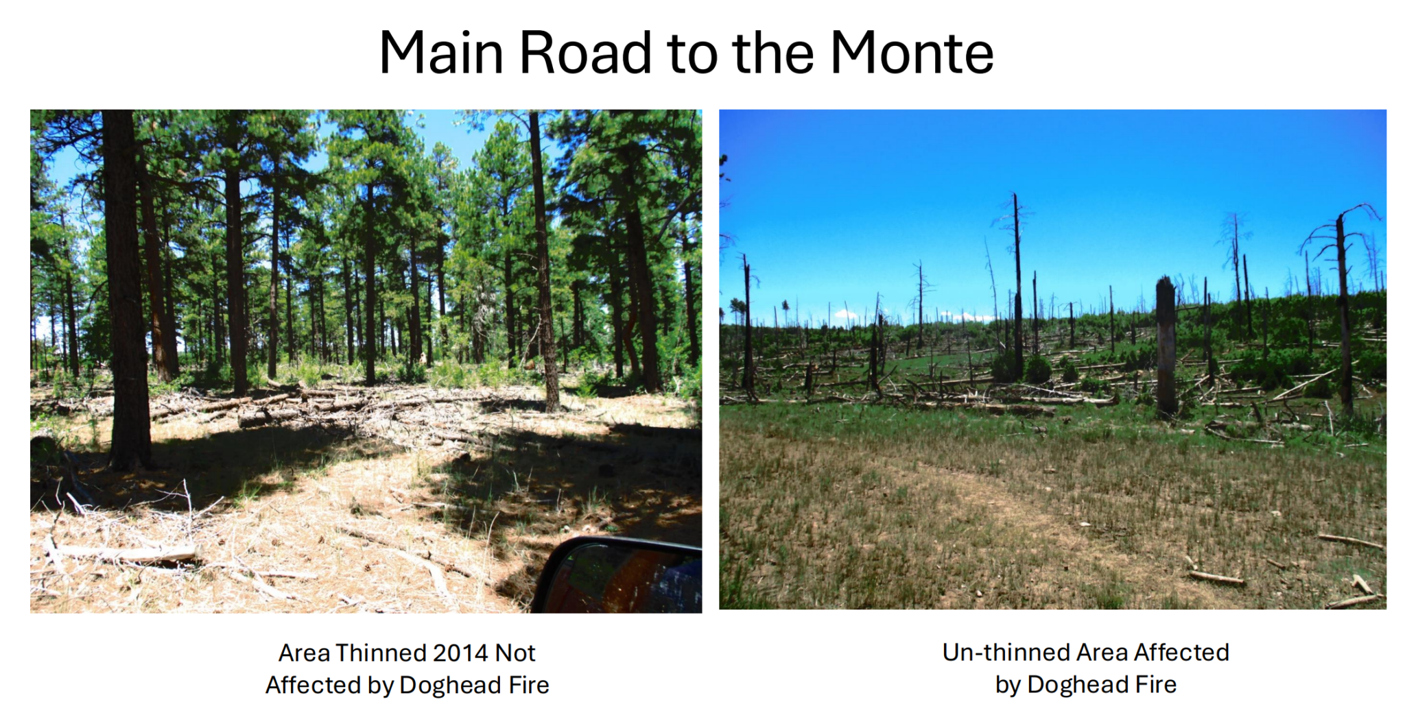 Land grants, state agency plead for more state support after wildfires Land grants, state agency plead for more state support after wildfires