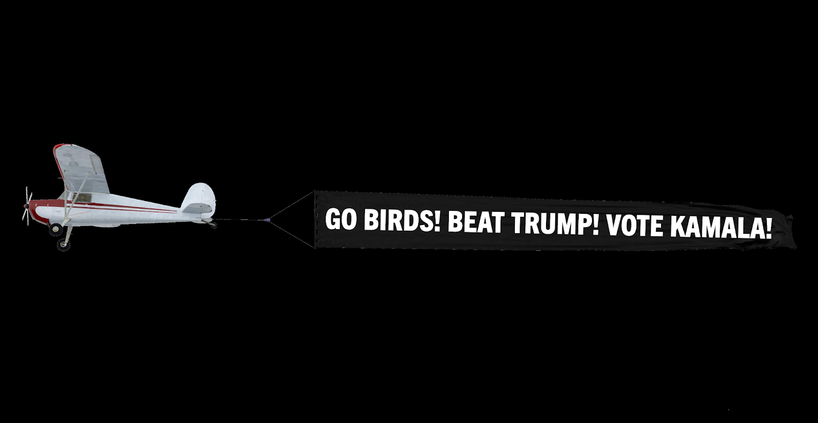 In final Sunday before election, DNC will fly ‘Vote Kamala’ banner over Eagles game in Philly In final Sunday before election, DNC will fly ‘Vote Kamala’ banner over Eagles game in Philly