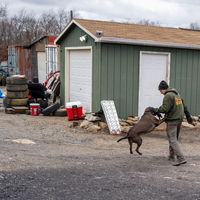 Bernie Gardula walking his dog, Jade.