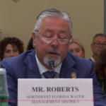 Congress tries end-run around Florida court decision protecting wetlands
