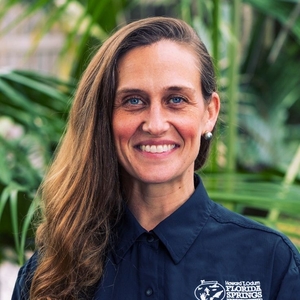 New Florida stormwater rules don’t fix our pollution problem