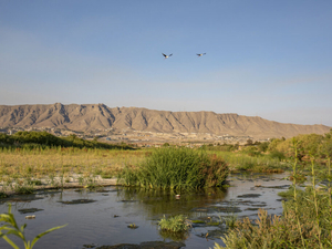 (Photo by Diana Cervantes for Source New Mexico)