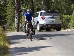 A cyclist rides the Moose-Wilson Road in Grand Teton National Park. (Angus M. Thuermer Jr./WyoFile)