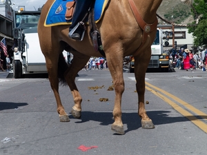 At the end of the 2025 July 4 parade in Jackson, street sweepers move in to do their important job. (Angus M,. Thuermer Jr./WyoFile)