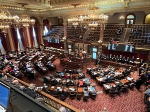 Iowa Democrats flipped two state Senate seats in special elections last year to break the GOP supermajority there. (Photo by Kathie Obradovich/Iowa Capital Dispatch)
