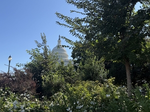The U.S. Capitol building in Washington, D.C., on Sept. 15, 2026. (Photo by Jennifer Shutt/States Newsroom)