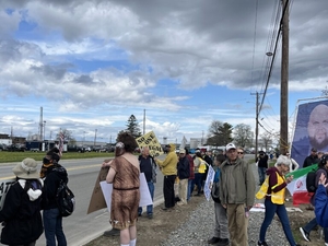 Barred from Vance’s Bangor event, CatsOnACouch creators sues, arguing First Amendment violation