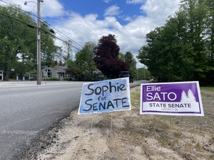 Democratic legislative primaries offer window into larger party debates