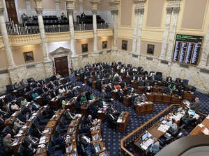 What’s so special about the special session? A primer