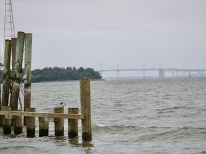 Maryland officials grapple with ‘bizarre’ Trump executive order on Chesapeake Bay
