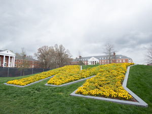 Moore offers late admission, $800 credit for students disenrolled at Howard University
