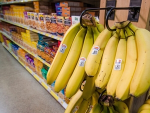 Maryland officials promote third year of Sun Bucks to help stave off summer hunger among students