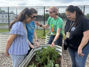 Schoolyard farm showcases community resilience