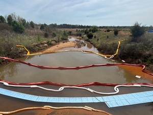 Piscataway Creek has been poisoned again – where is the accountability?