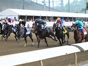 Officials express confidence in bet on horse racing industry