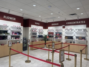 Social equity licensed dispensaries in Maryland are finally starting to open