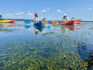 Chesapeake Bay grasses notch best numbers since 2018