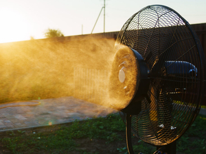 Health officials report record-breaking 50 heat-related deaths this summer