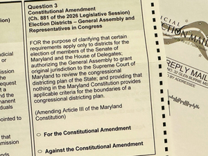 Poll: Wording of redistricting amendment difficult for voters to understand