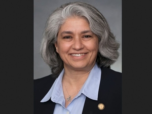 Senator Lisa Grafstein discusses the state budget debate and an effort to curb voting rights