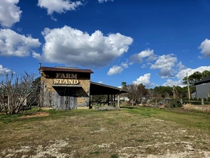 NC is losing 100,000 acres of farmland annually. Troxler seeks lawmakers’ help to stem the tide