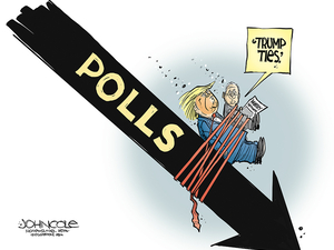 Along for the ride