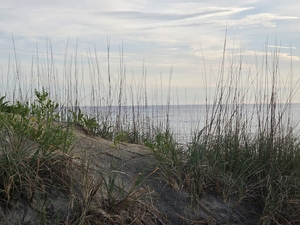 Senators okay repeal of NC’s hardened structure ban, dismiss buyouts for threatened coastal homes