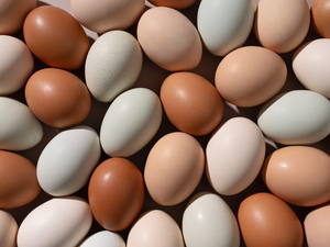 No yolk: NC AG Jeff Jackson settles antitrust lawsuit for 3 million eggs