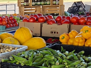Hunger crisis widens in North Carolina as food banks face more demand, federal cuts
