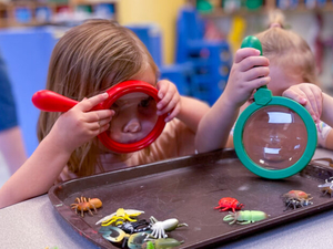 CDC’s 2025 data shows birth rates continuing to slide