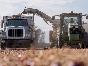 Vermont is first state to ban toxic herbicide paraquat, as others may follow