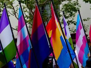 LGBTQ+ adults more likely to miss or forgo healthcare, survey finds
