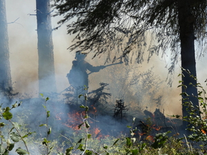 This Washington town is burning. That’s the plan.