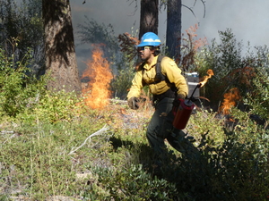 Photo essay: Communities embrace fire to protect against out-of-control blazes