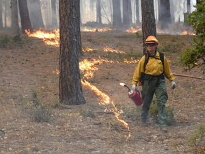 Learning to Burn
