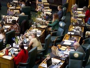 A record number of women are running for state legislatures this year