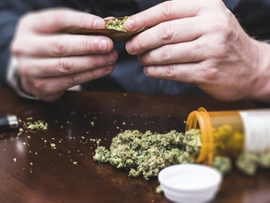 Florida officials weigh in on the federal rescheduling of medical marijuana
