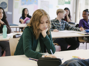 DEI funding nixed, ‘human embryological and fetal development’ study mandated, in House K-12 bill